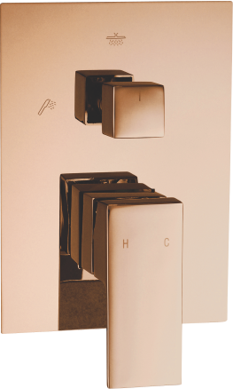 2 Way Diverter Brass 2 inlet & 2 outlet SL-1101 RG