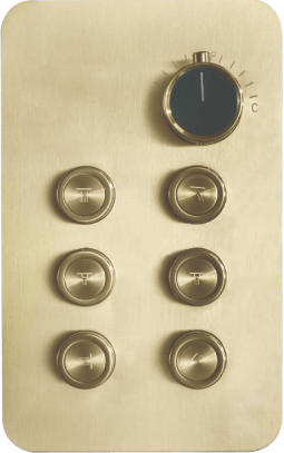 6 Way Click Button Diverter with Flow Control TDC-12 BG