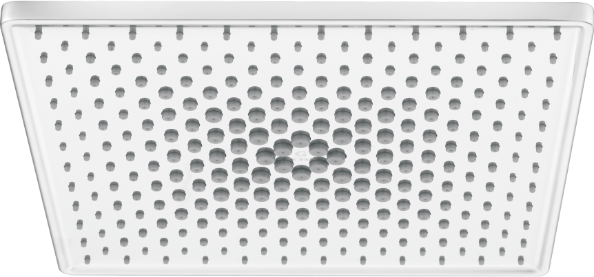 Imagica Shower (SS) with 6” SS 304 Arm & Flange  MZ-26 S (100mm)