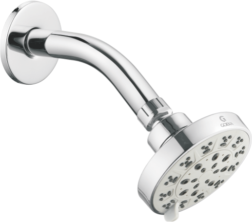 Regal Shower 5 Function with 6” SS 304 Arm & Flange  SH-2011 S (100mm)
