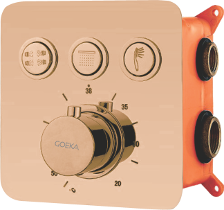 3 Outlet Thermostatic Diverter 2 inlet Hot & Cold TDC-06 RG