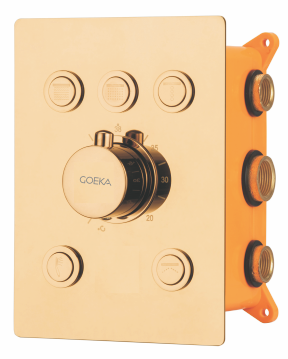 5 Outlet Thermostatic Diverter 2 inlet Hot & Cold TDC-08RG