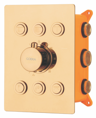 6 Outlet Thermostatic Diverter 2 inlet Hot & Cold TDC-09 RG