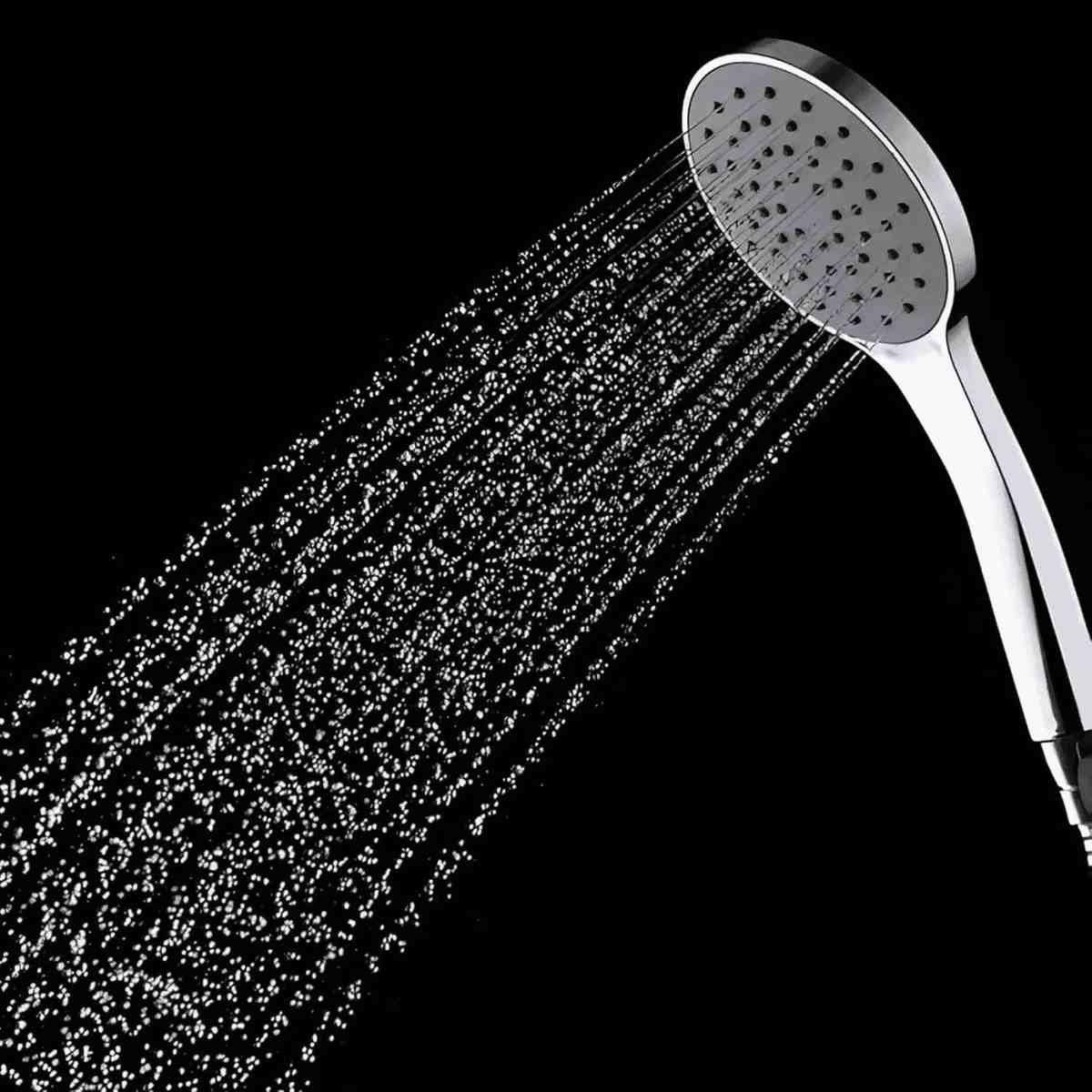 shower head and hand shower