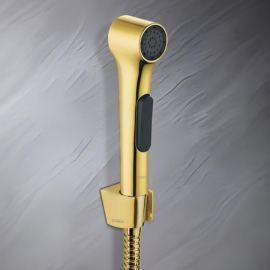 Gold Color Jet Spray